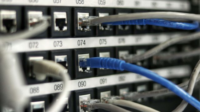 network.jpg